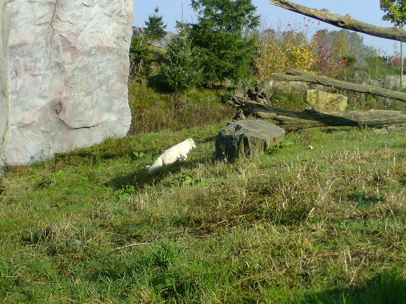 Zoom 18.10.08-025.jpg